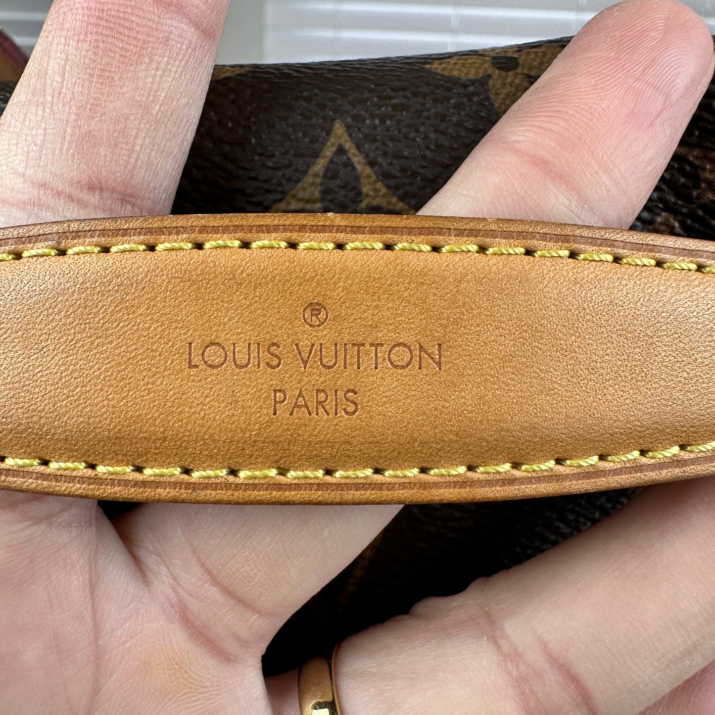 Louis Vuitton Monogram Bum Bag