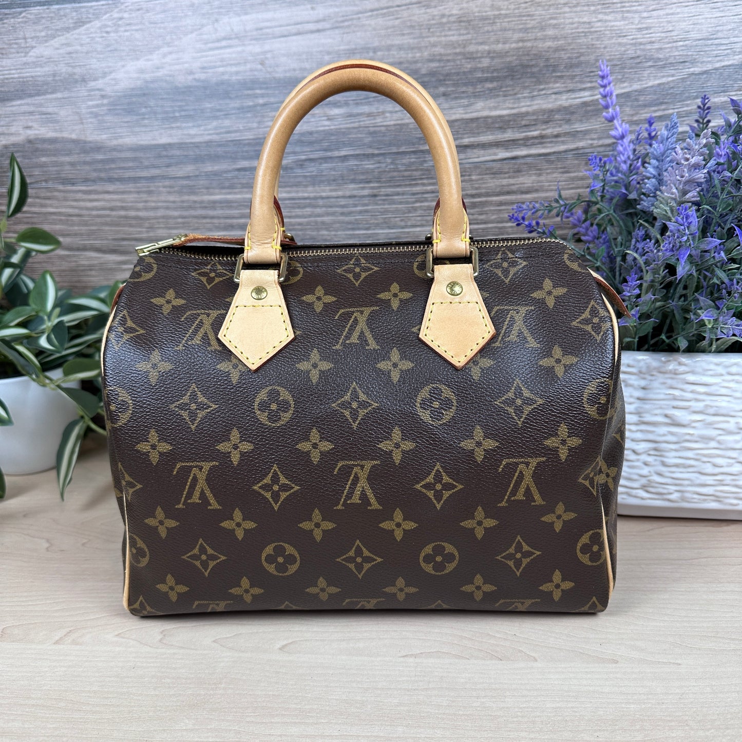 Louis Vuitton Speedy 25 Monogram