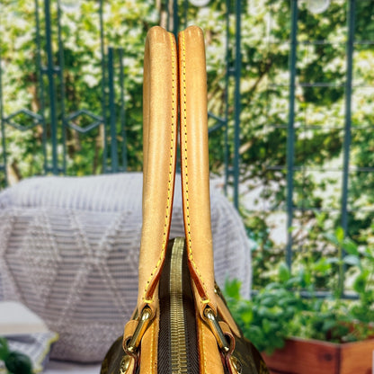 Louis Vuitton Special Order Trevi PM