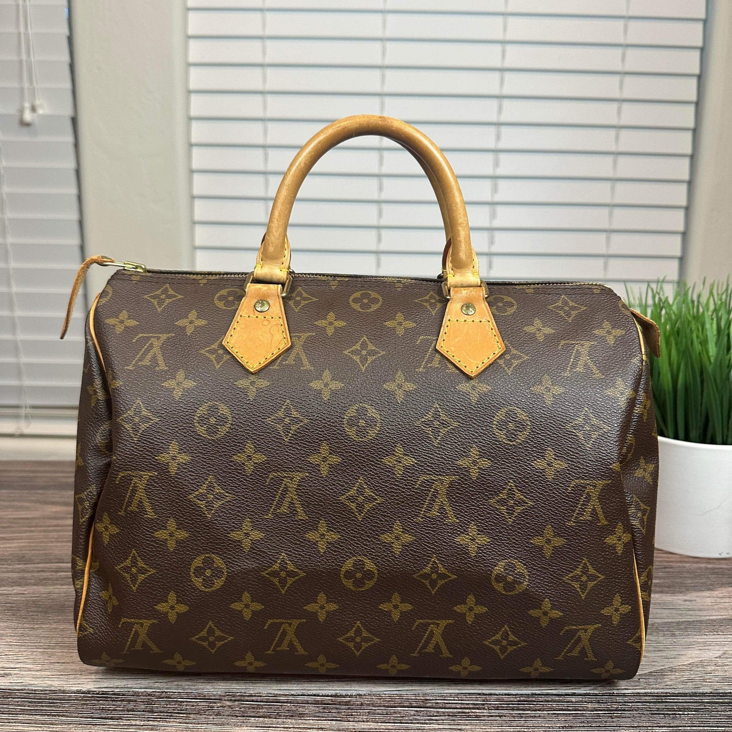 Louis Vuitton Speedy 30 Monogram