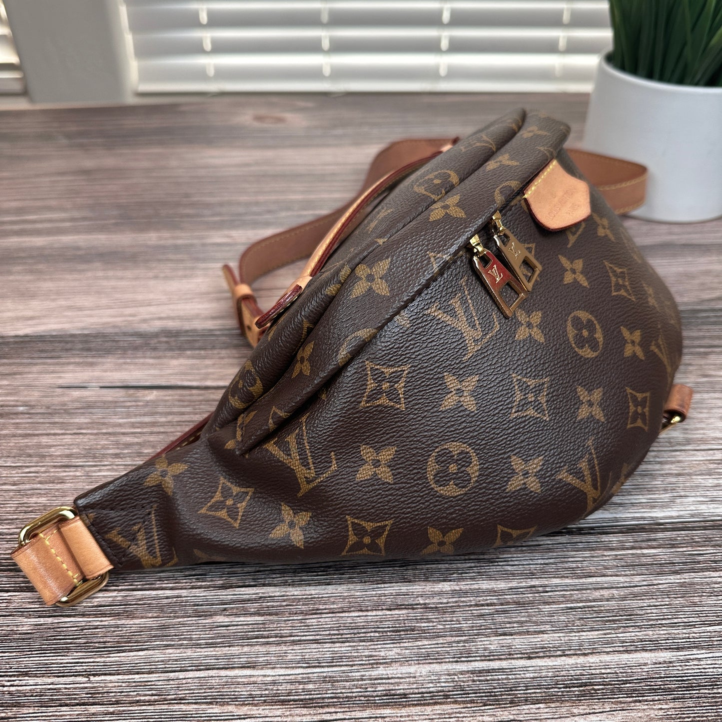 Louis Vuitton Monogram Bum Bag