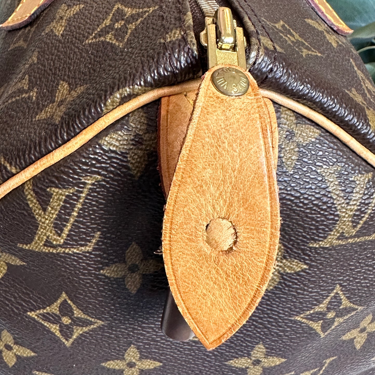 Louis Vuitton Monogram Speedy 30
