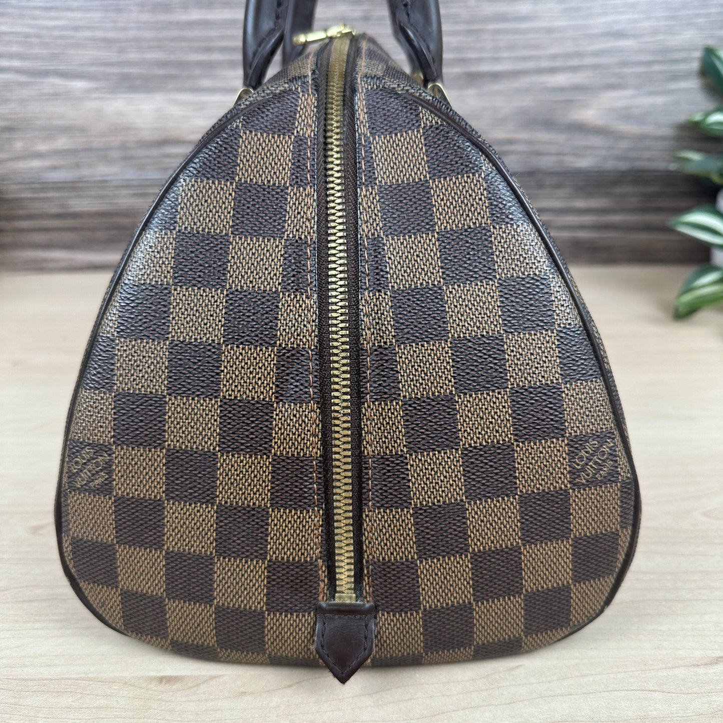 Louis Vuitton Damier Canvas Ribera MM Bag