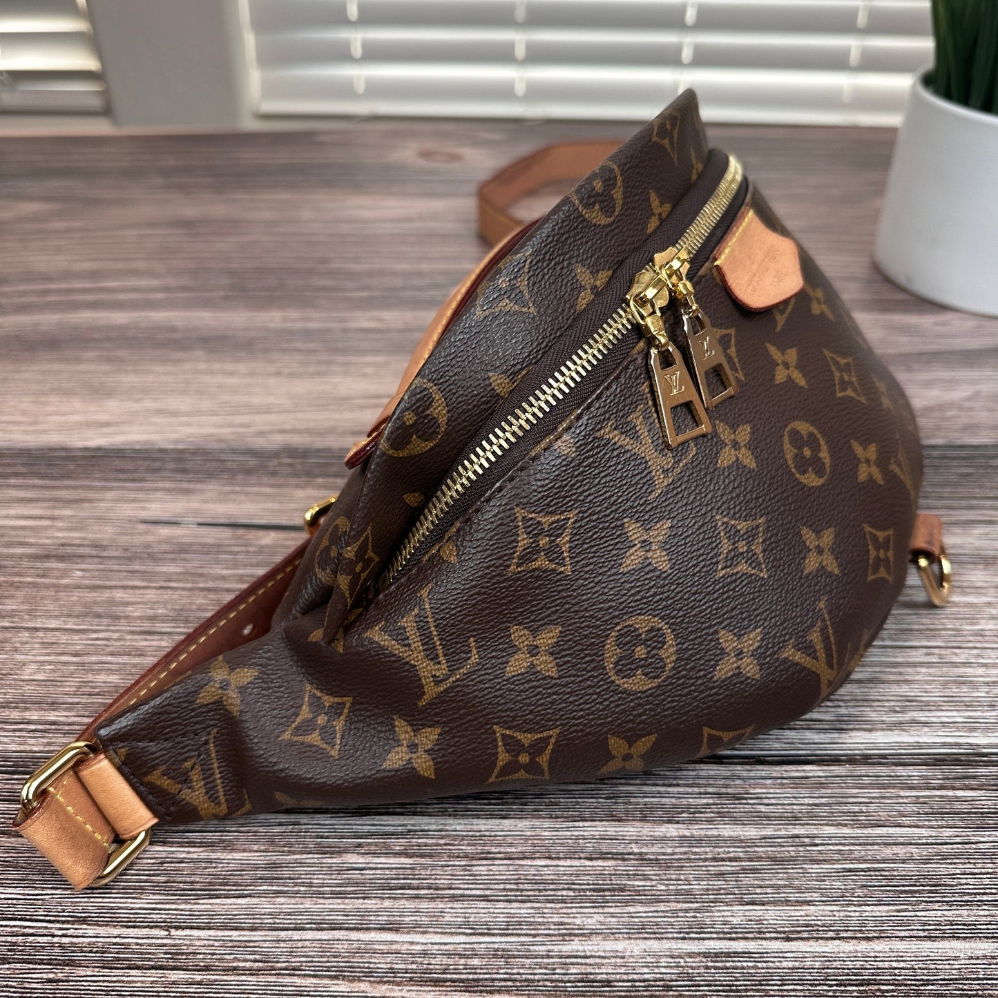 Louis Vuitton Monogram Bum Bag