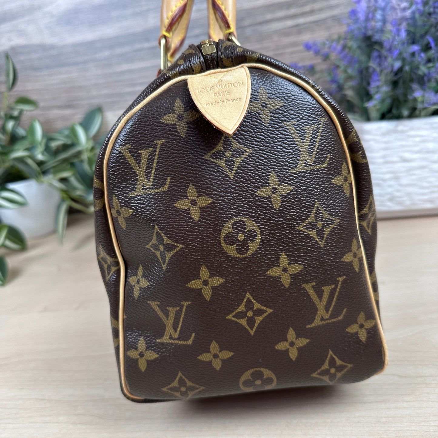 Louis Vuitton Speedy 25 Monogram