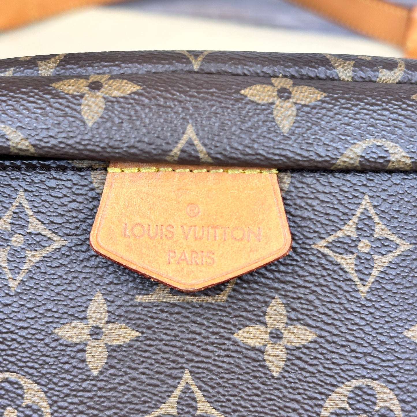 Louis Vuitton Monogram Bum Bag