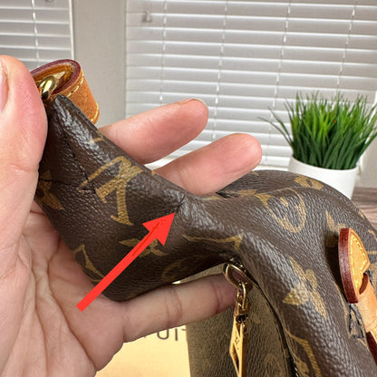 Louis Vuitton Monogram Bum Bag