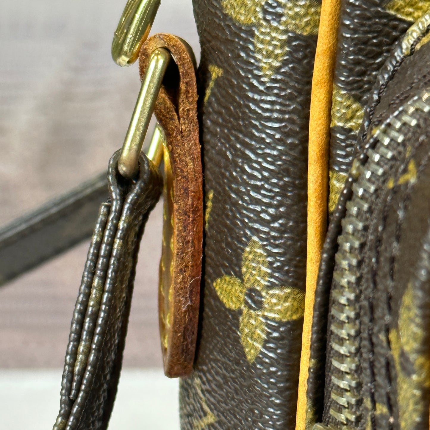 Louis Vuitton Monogram Amazone Crossbody Bag
