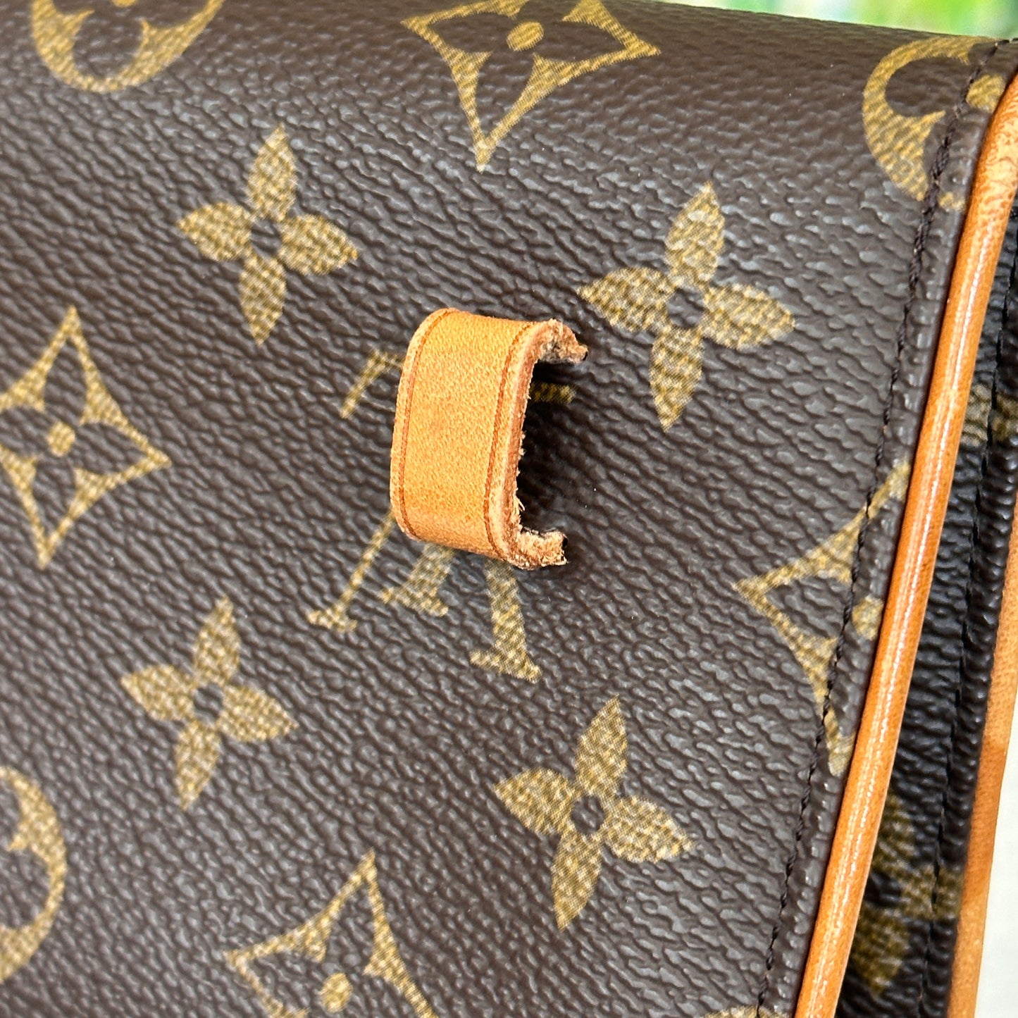 Louis Vuitton Monogram Pochette Florentine