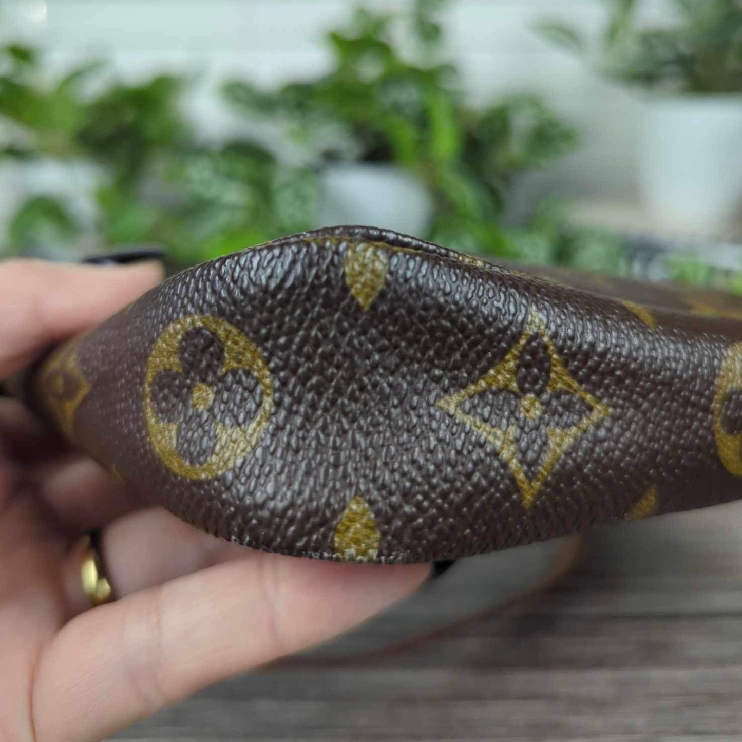 Louis Vuitton Pochette Accessories Monogram