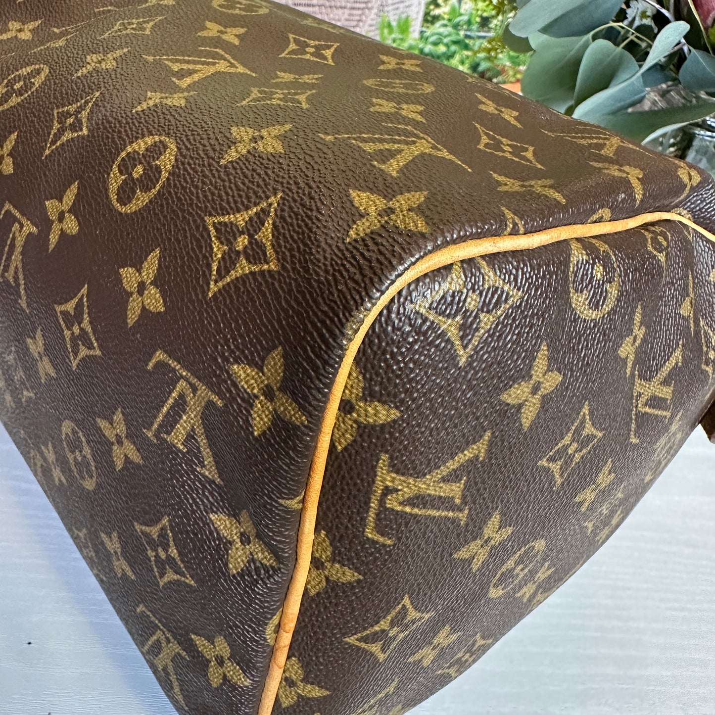Louis Vuitton Monogram Speedy 30