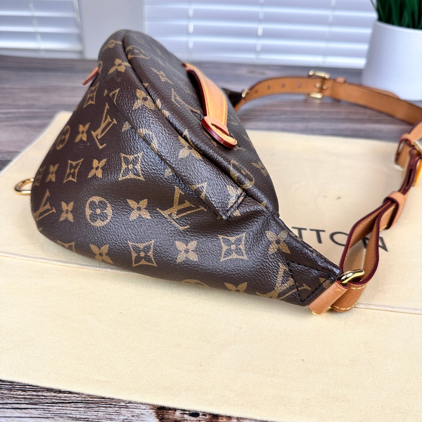 Louis Vuitton Monogram Bum Bag