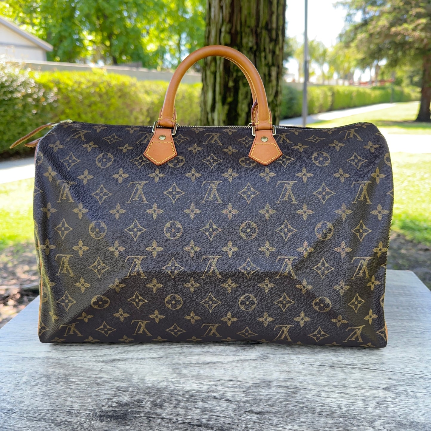 LOUIS VUITTON Speedy 40 Monogram
