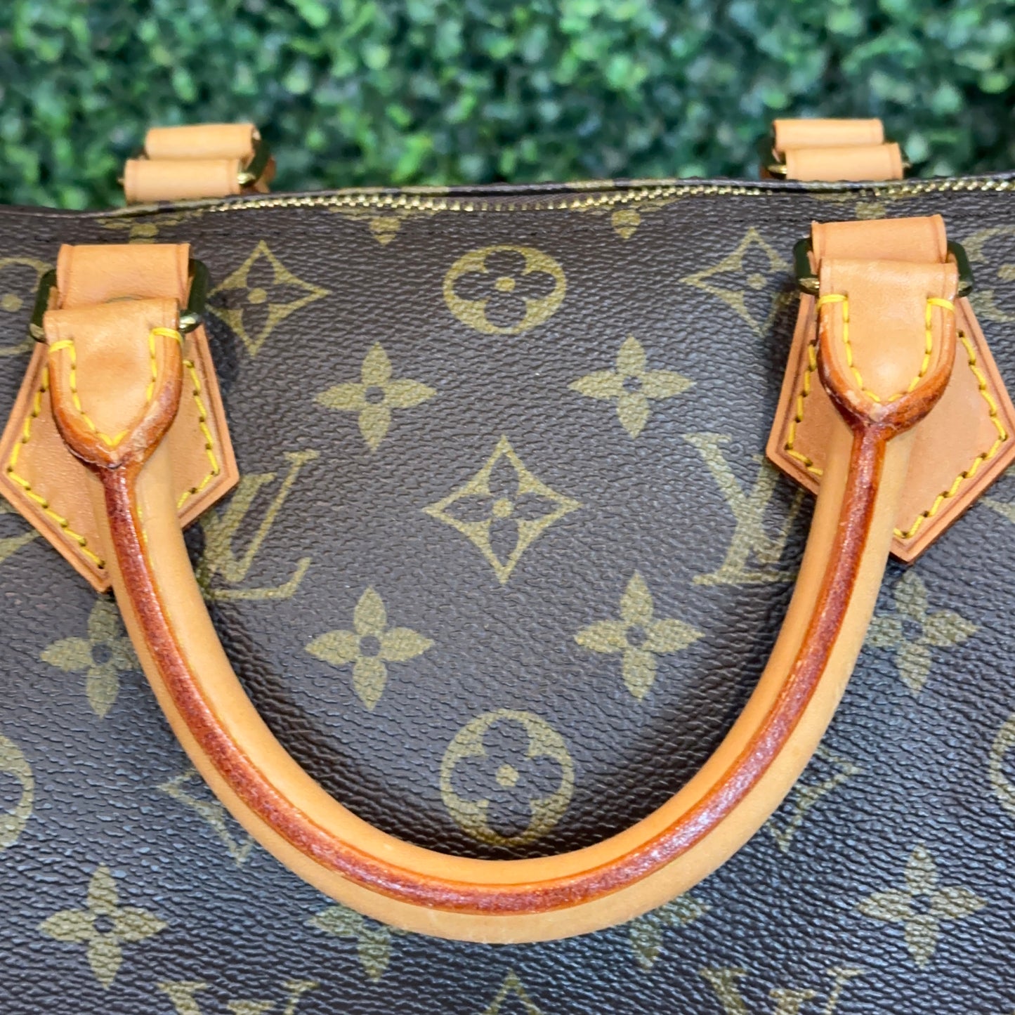 Louis Vuitton Speedy 30 Monogram