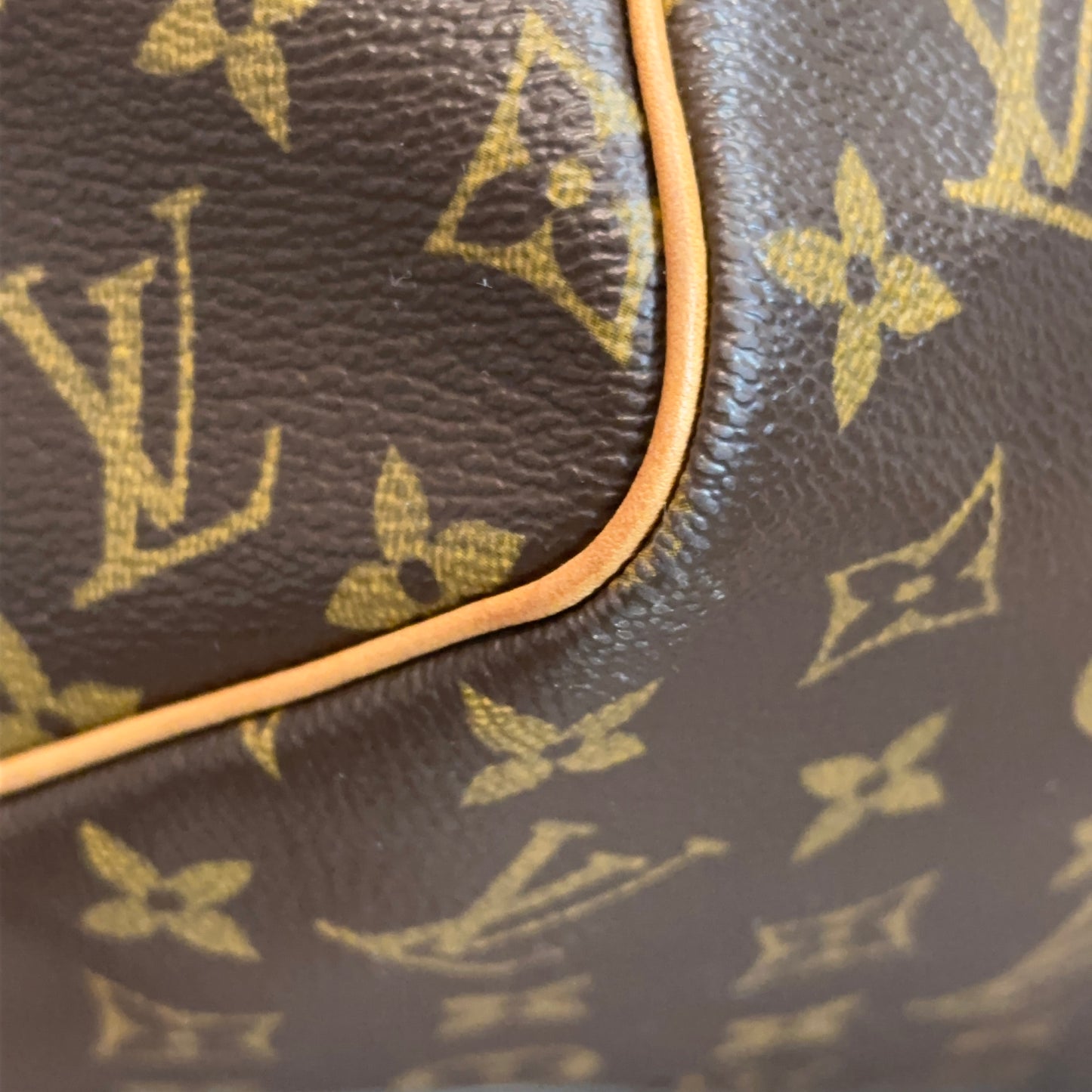 Louis Vuitton Speedy 30 Monogram
