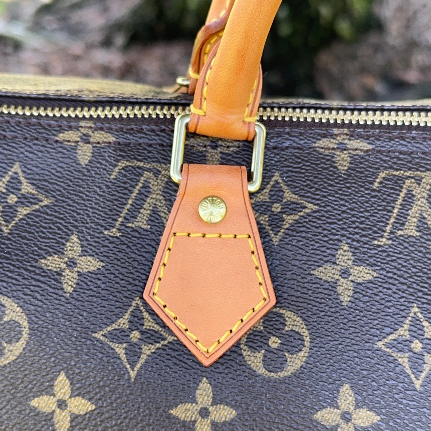 LOUIS VUITTON Speedy 40 Monogram