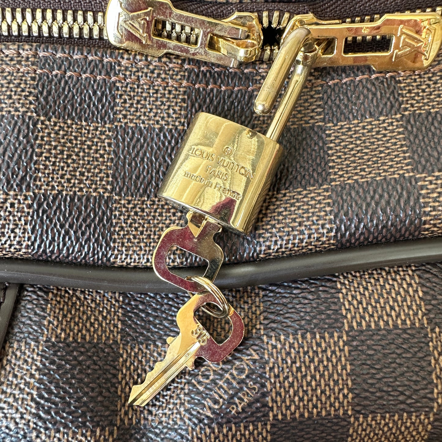 Louis Vuitton iCare DE Business Travel Bag