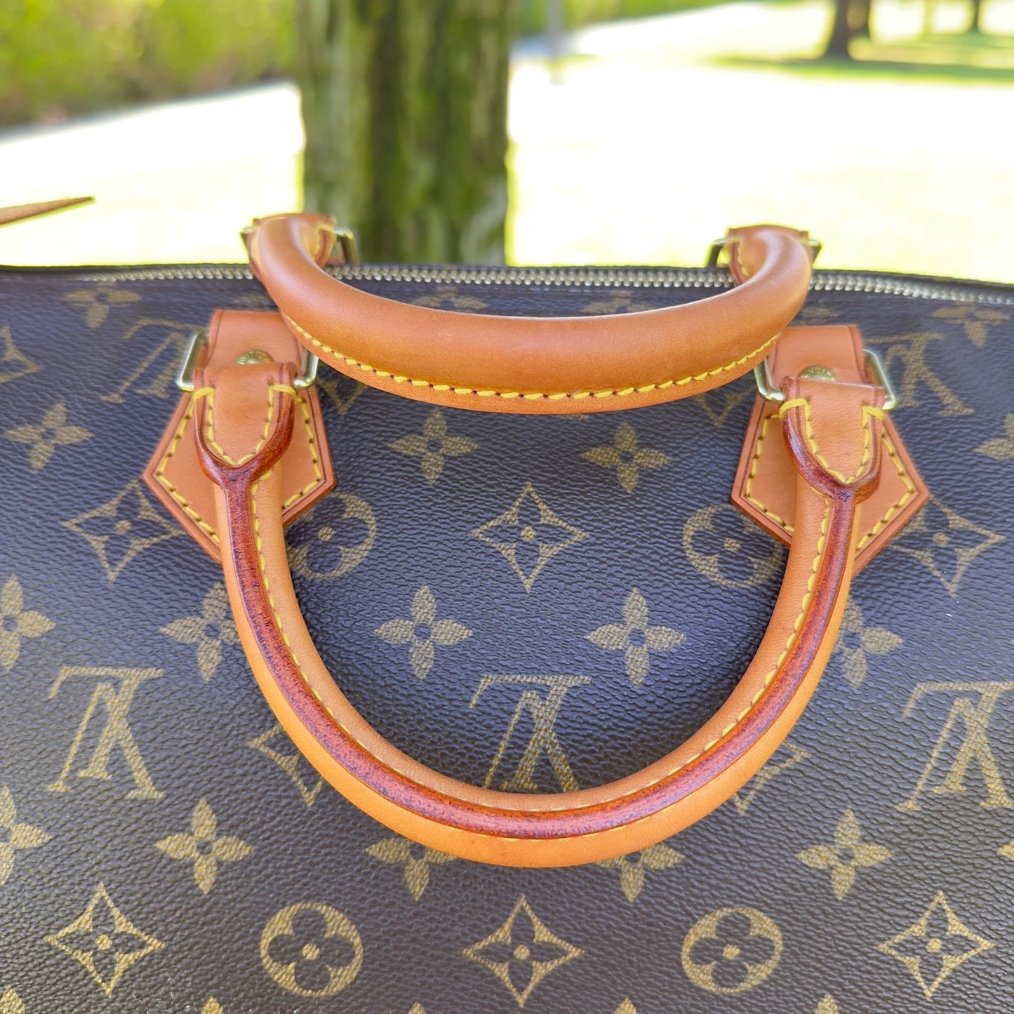 LOUIS VUITTON Speedy 40 Monogram