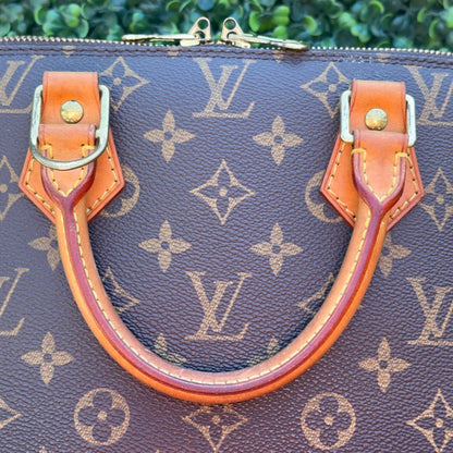 Louis Vuitton Monogram Canvas Alma PM Bag