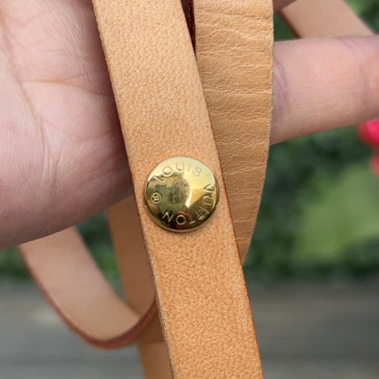 Louis Vuitton Pochette Florentine