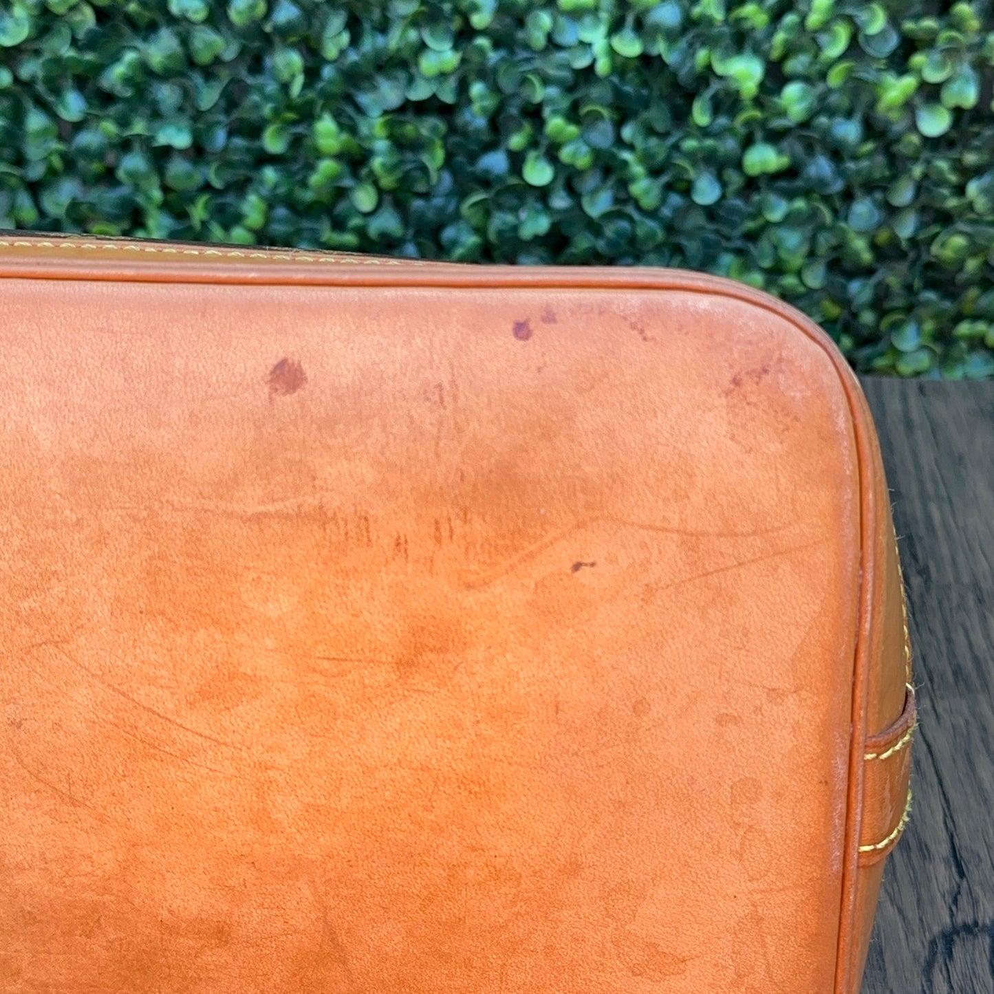 Louis Vuitton Monogram Canvas Alma PM Bag