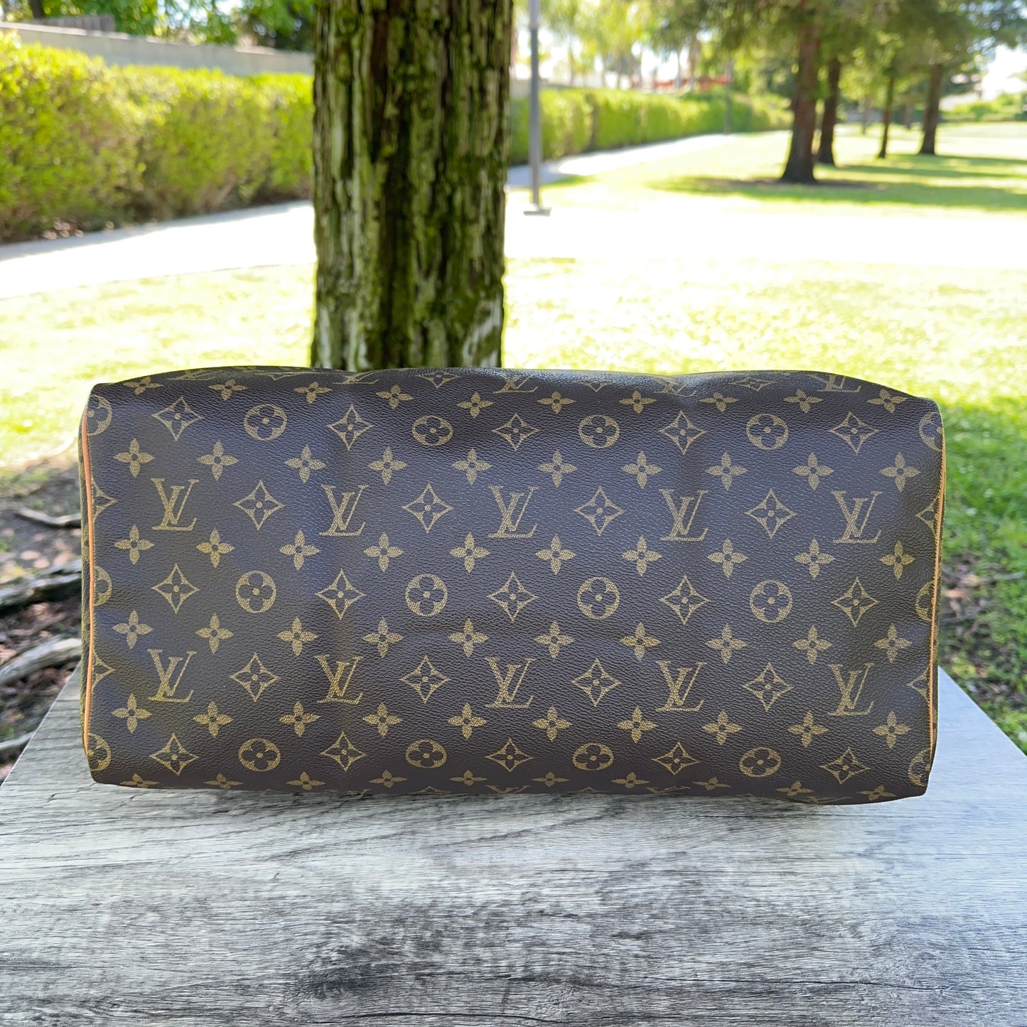 LOUIS VUITTON Speedy 40 Monogram