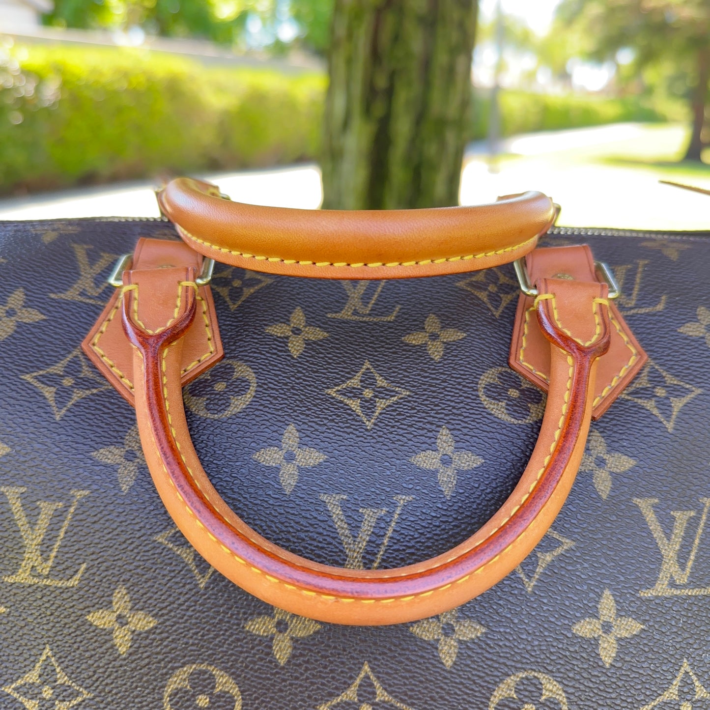 LOUIS VUITTON Speedy 40 Monogram