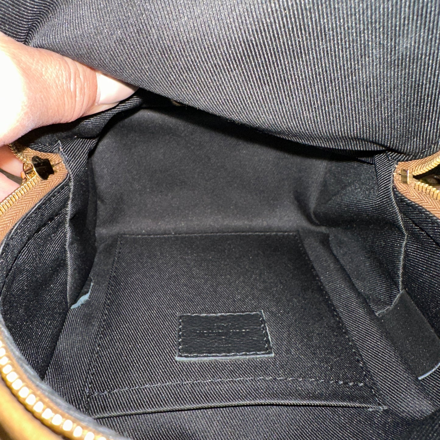 Louis Vuitton Reverse Palm Springs Mini