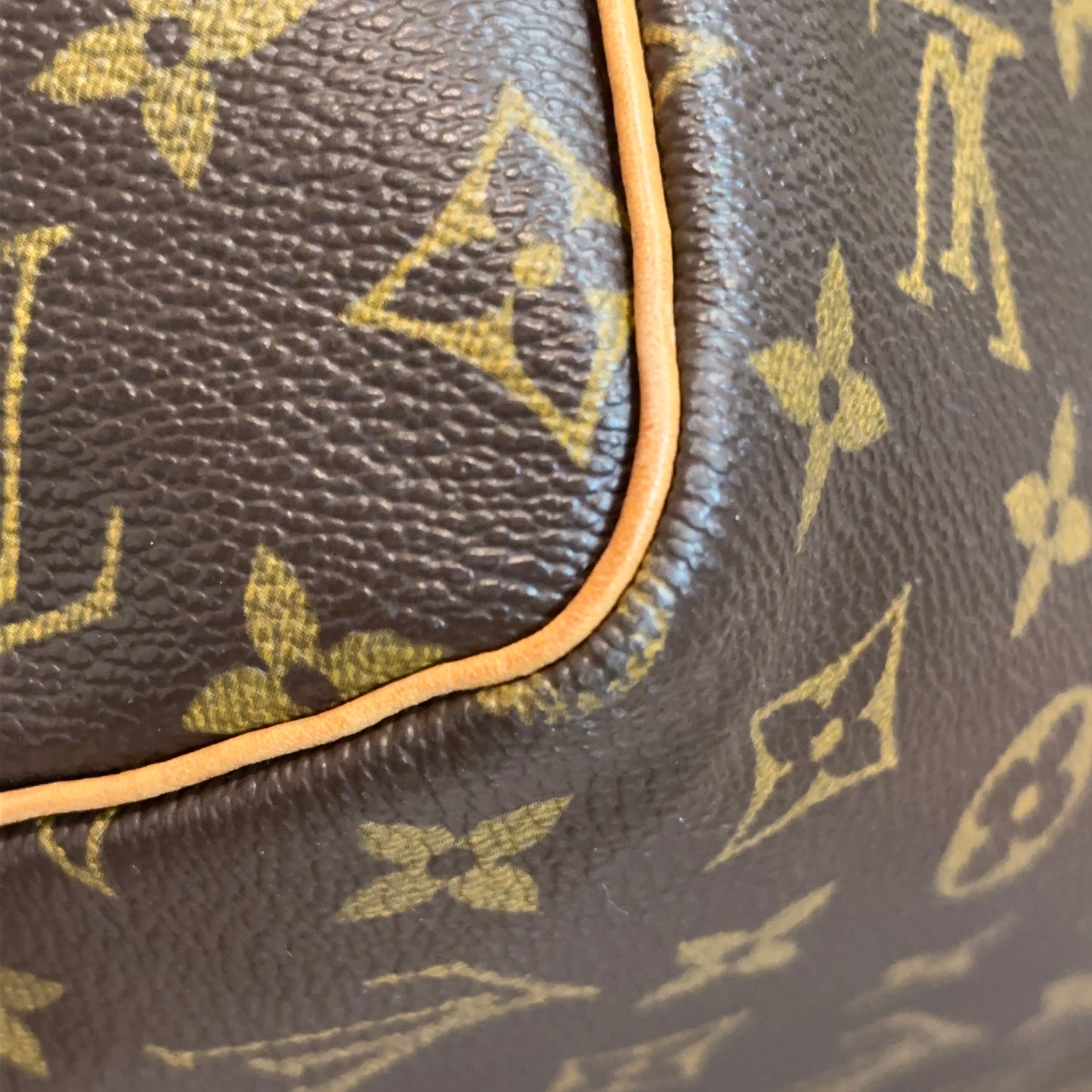 Louis Vuitton Speedy 30 Monogram