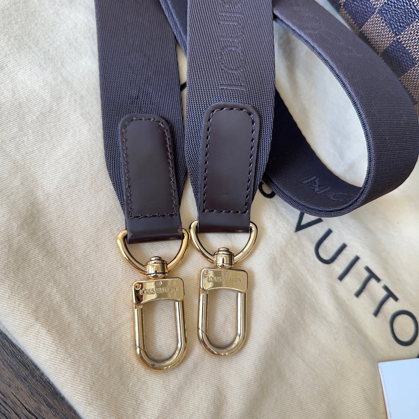 Louis Vuitton iCare DE Business Travel Bag