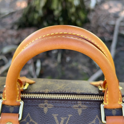 LOUIS VUITTON Speedy 40 Monogram