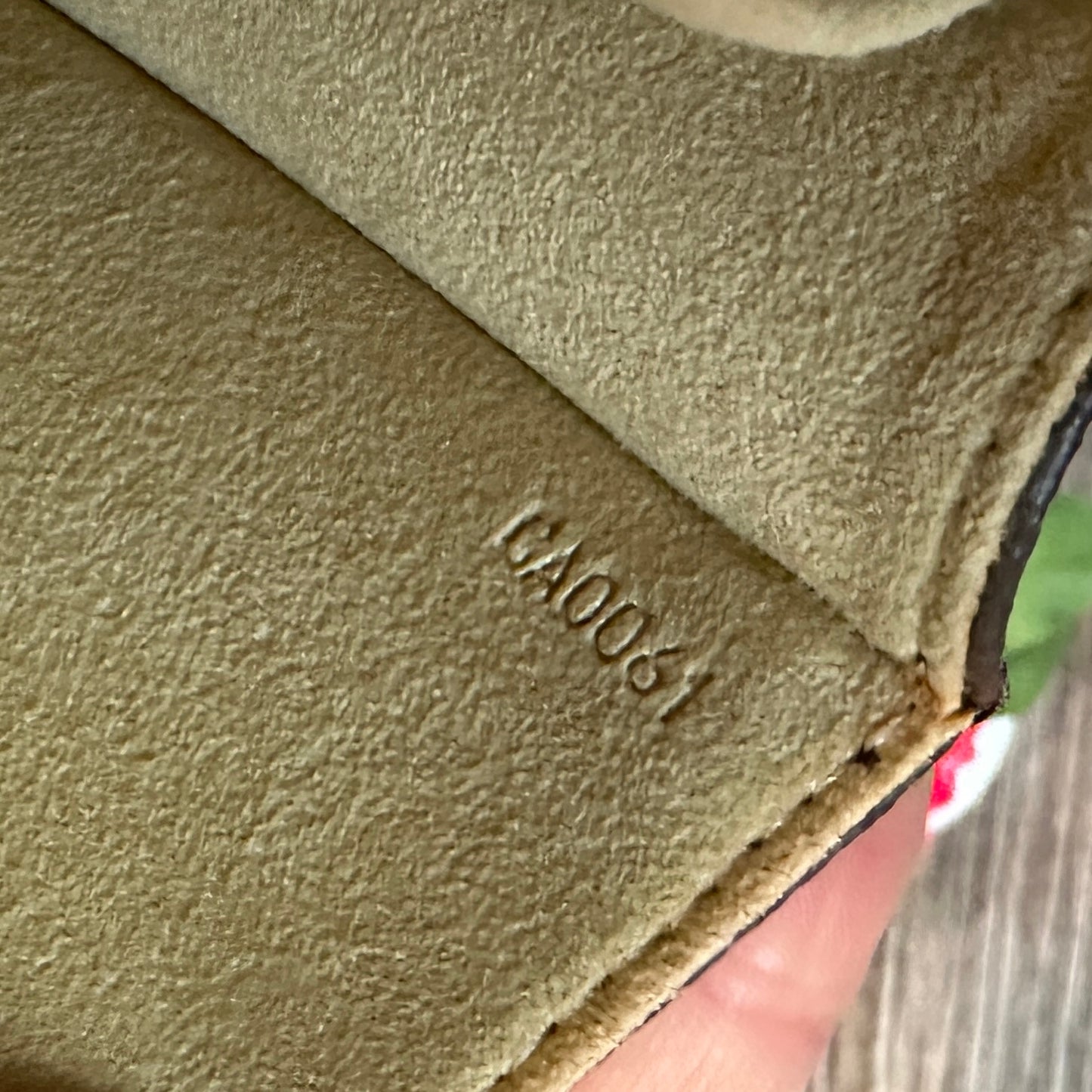 Louis Vuitton Pochette Twin GM