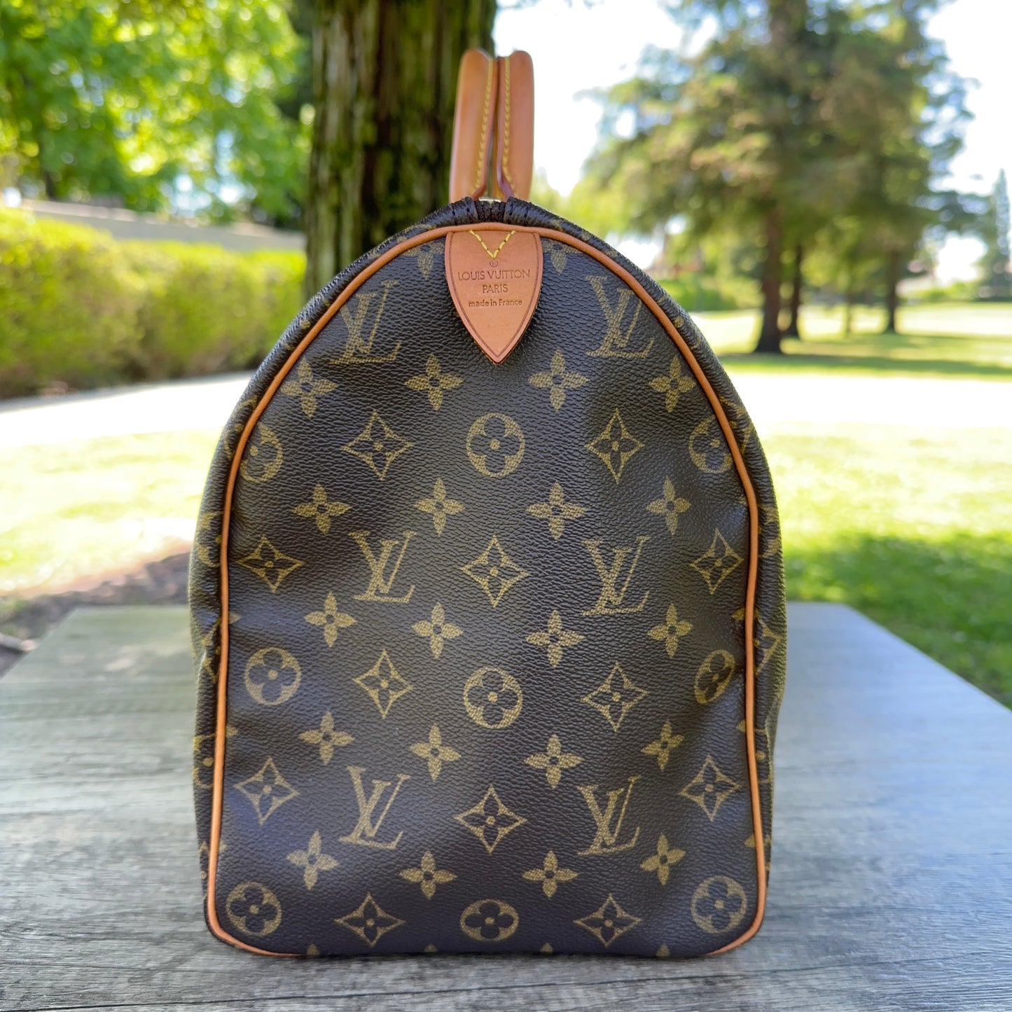 LOUIS VUITTON Speedy 40 Monogram
