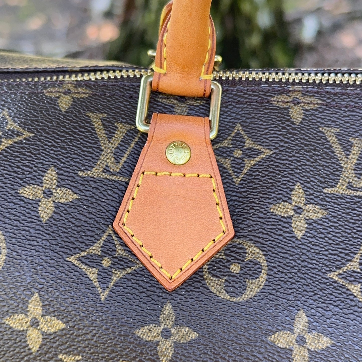 LOUIS VUITTON Speedy 40 Monogram