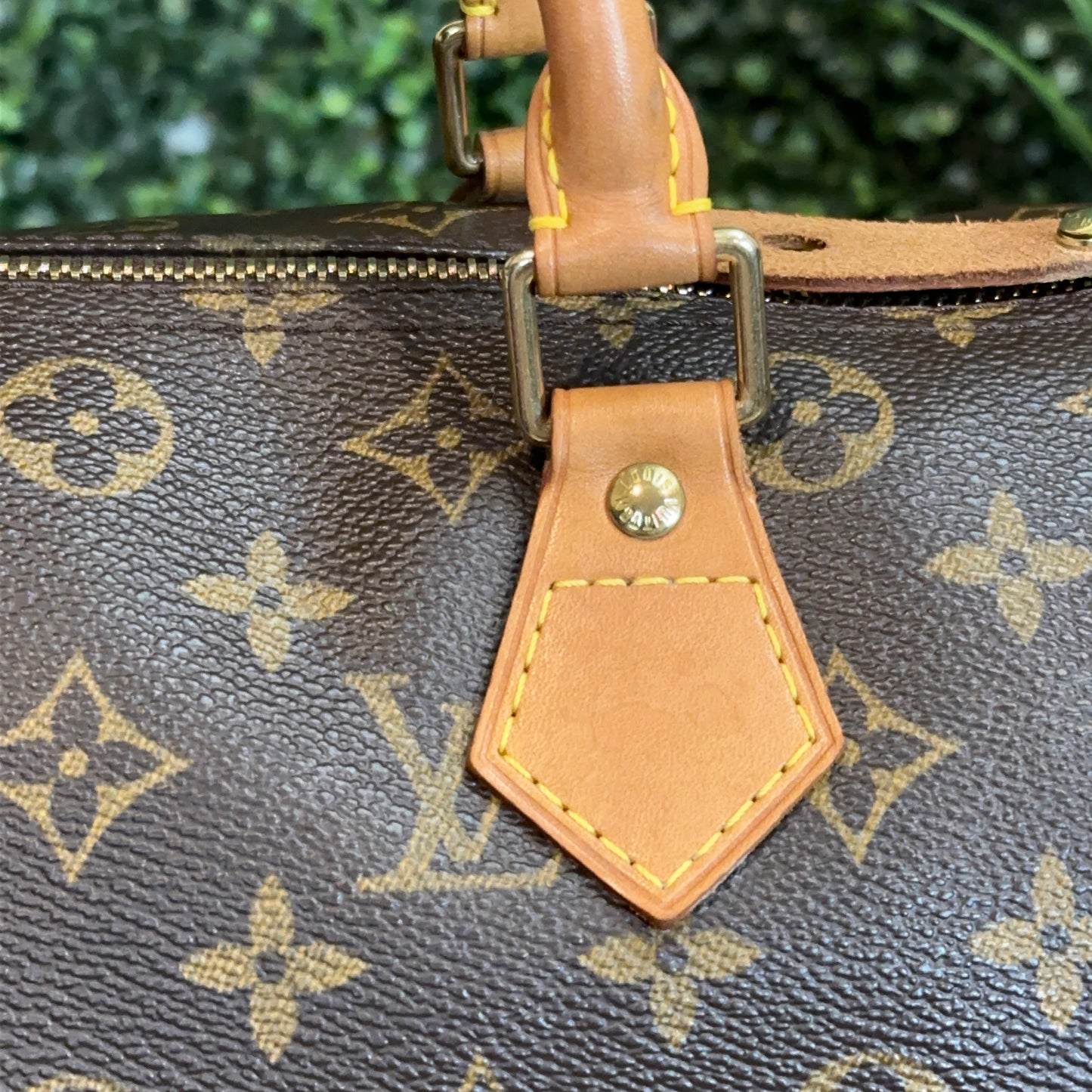 Louis Vuitton Speedy 30 Monogram