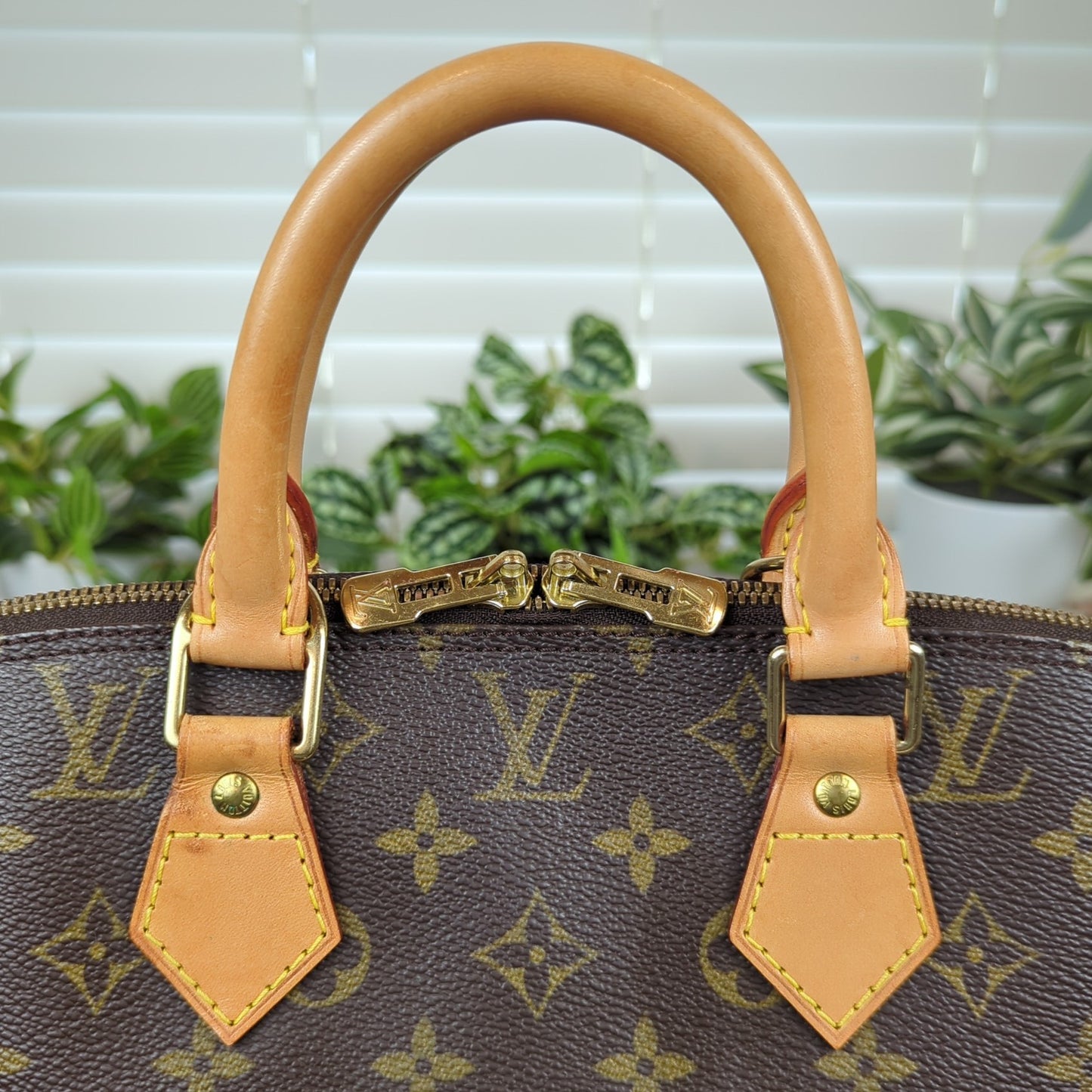 Louis Vuitton Alma PM Monogram