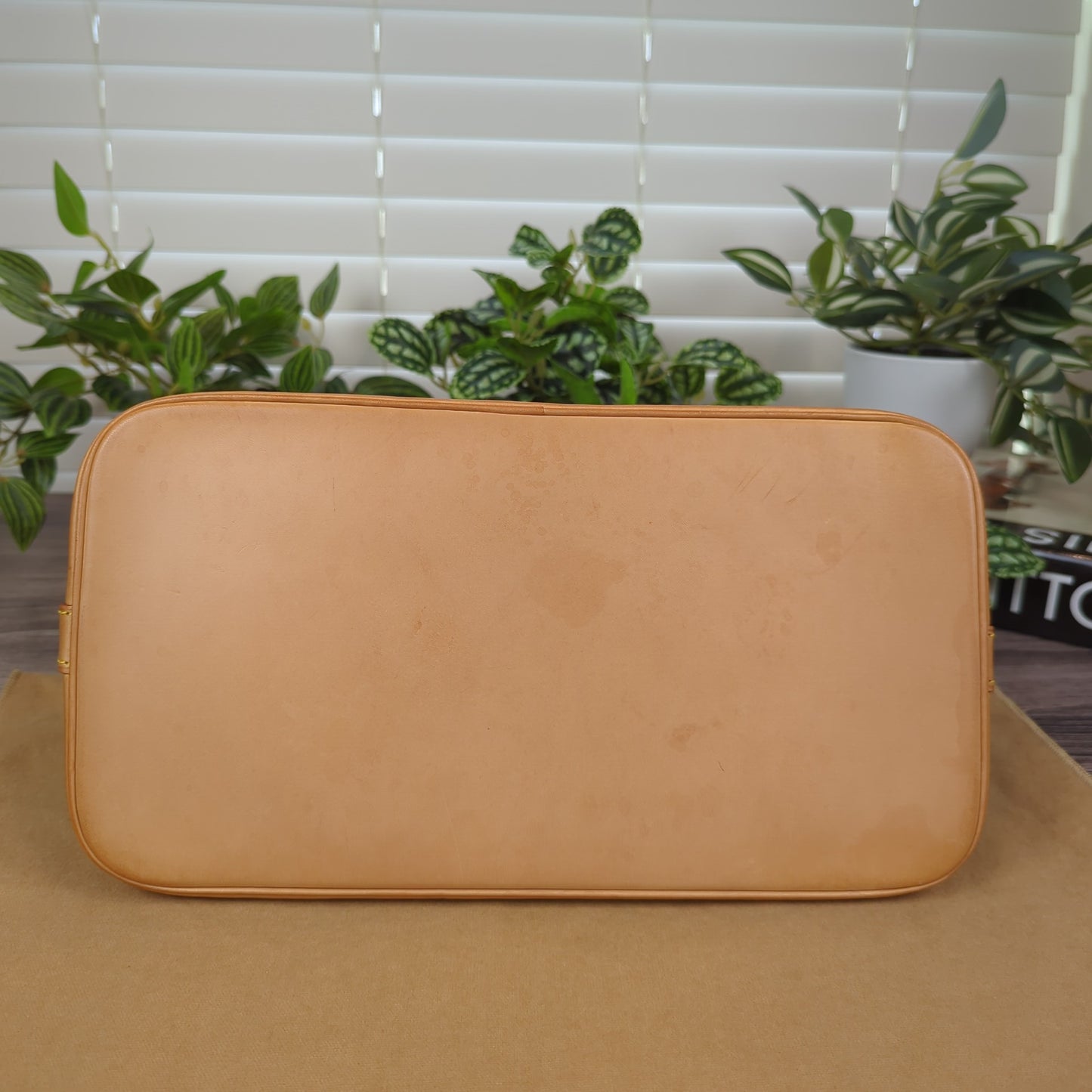 Louis Vuitton Alma PM Monogram