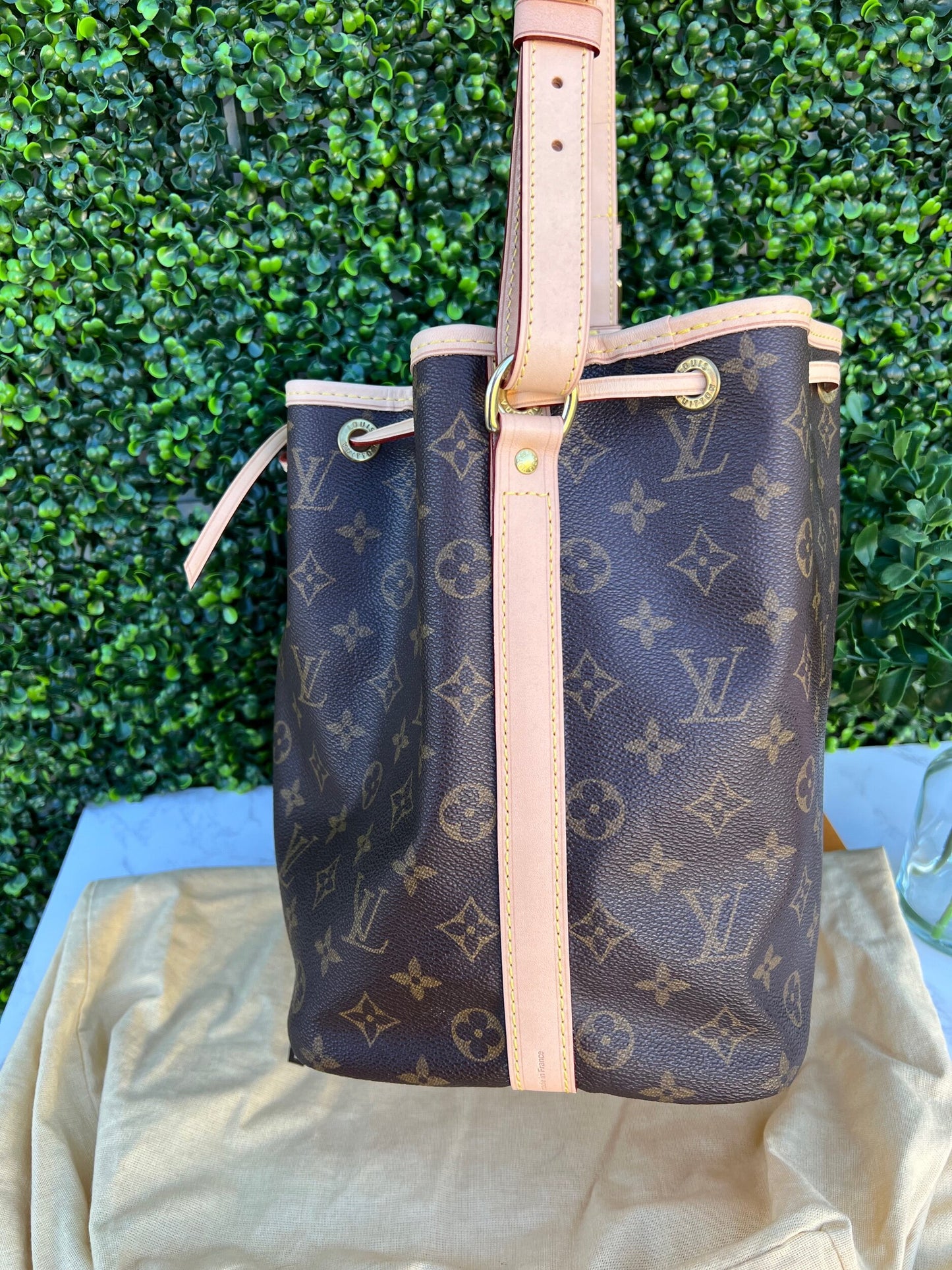 Vintage Petite Noe Monogram