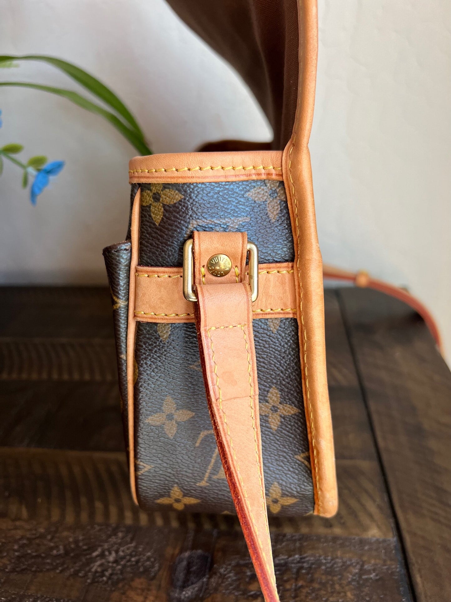 Sologne Adjustable Monogram Canvas Crossbody Bag