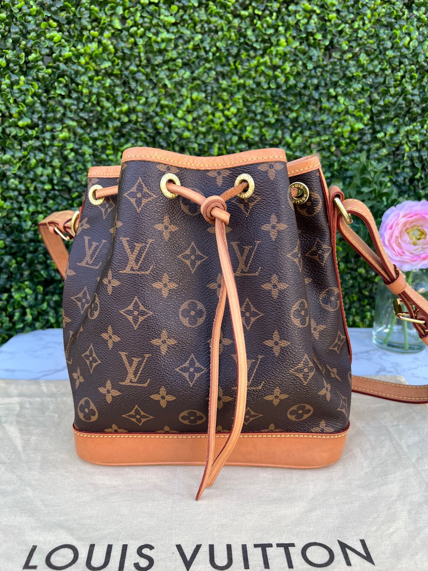 Noe BB Crossbody Monogram Canvas Bag