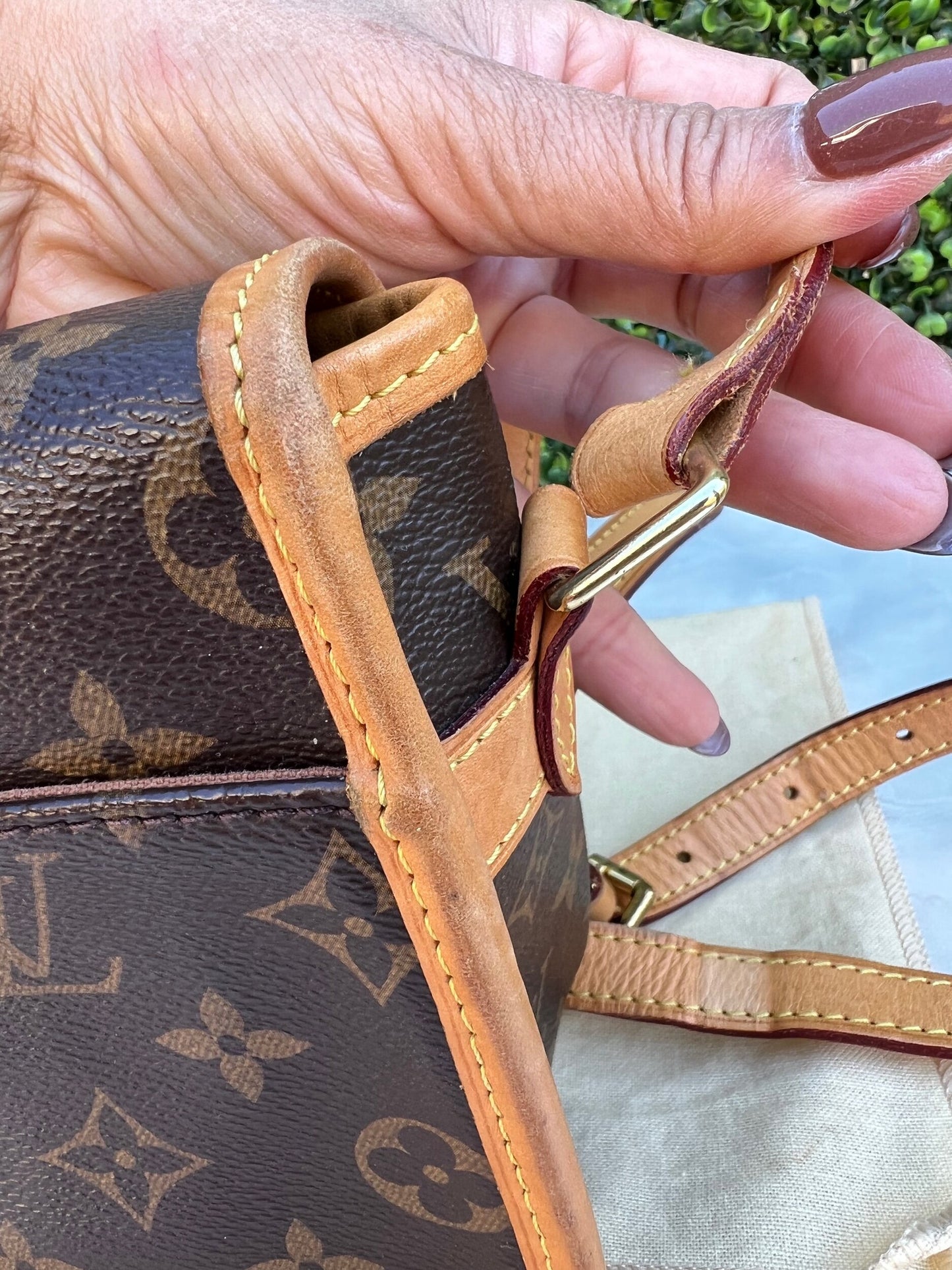 Sologne Crossbody Bag Monogram