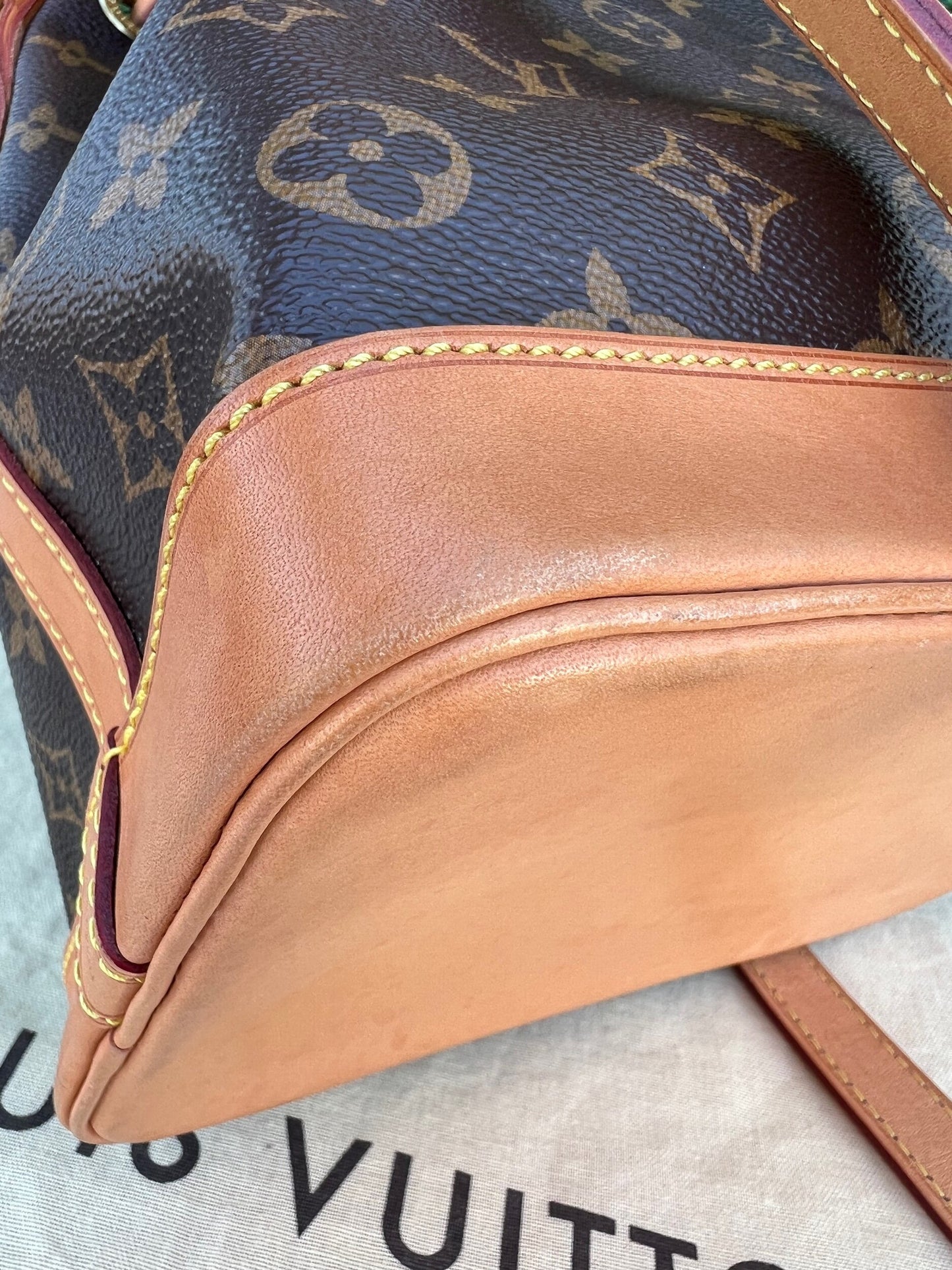 Noe BB Crossbody Monogram Canvas Bag