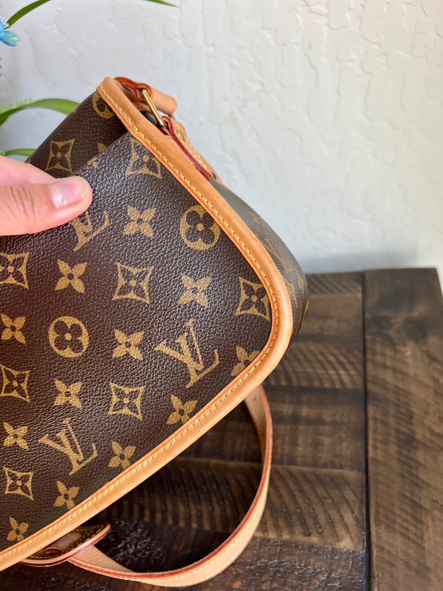 Sologne Adjustable Monogram Canvas Crossbody Bag