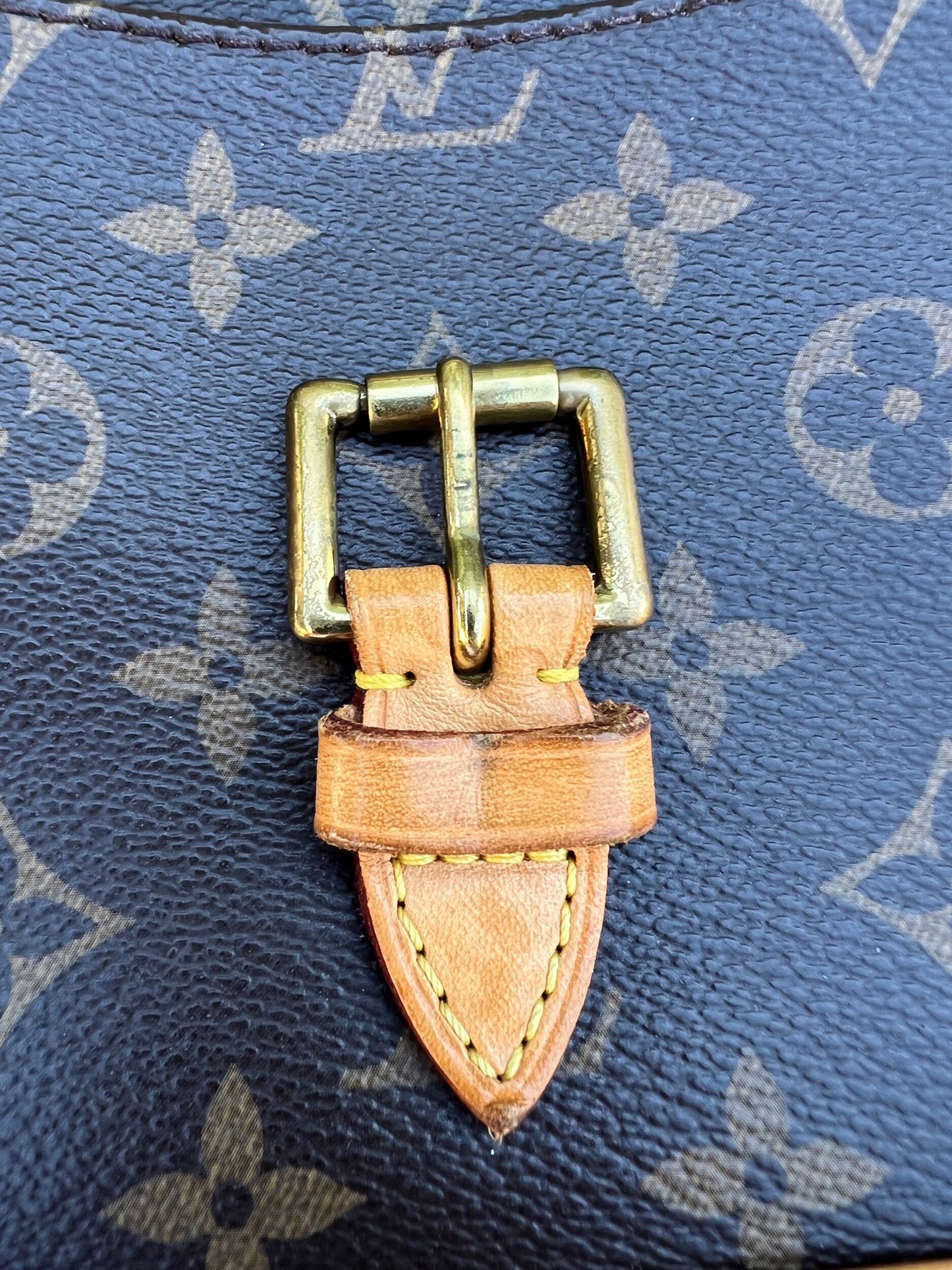 Sologne Crossbody Bag Monogram