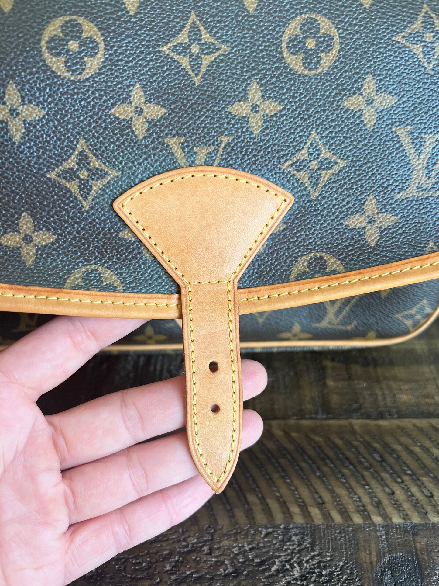 Sologne Adjustable Monogram Canvas Crossbody Bag