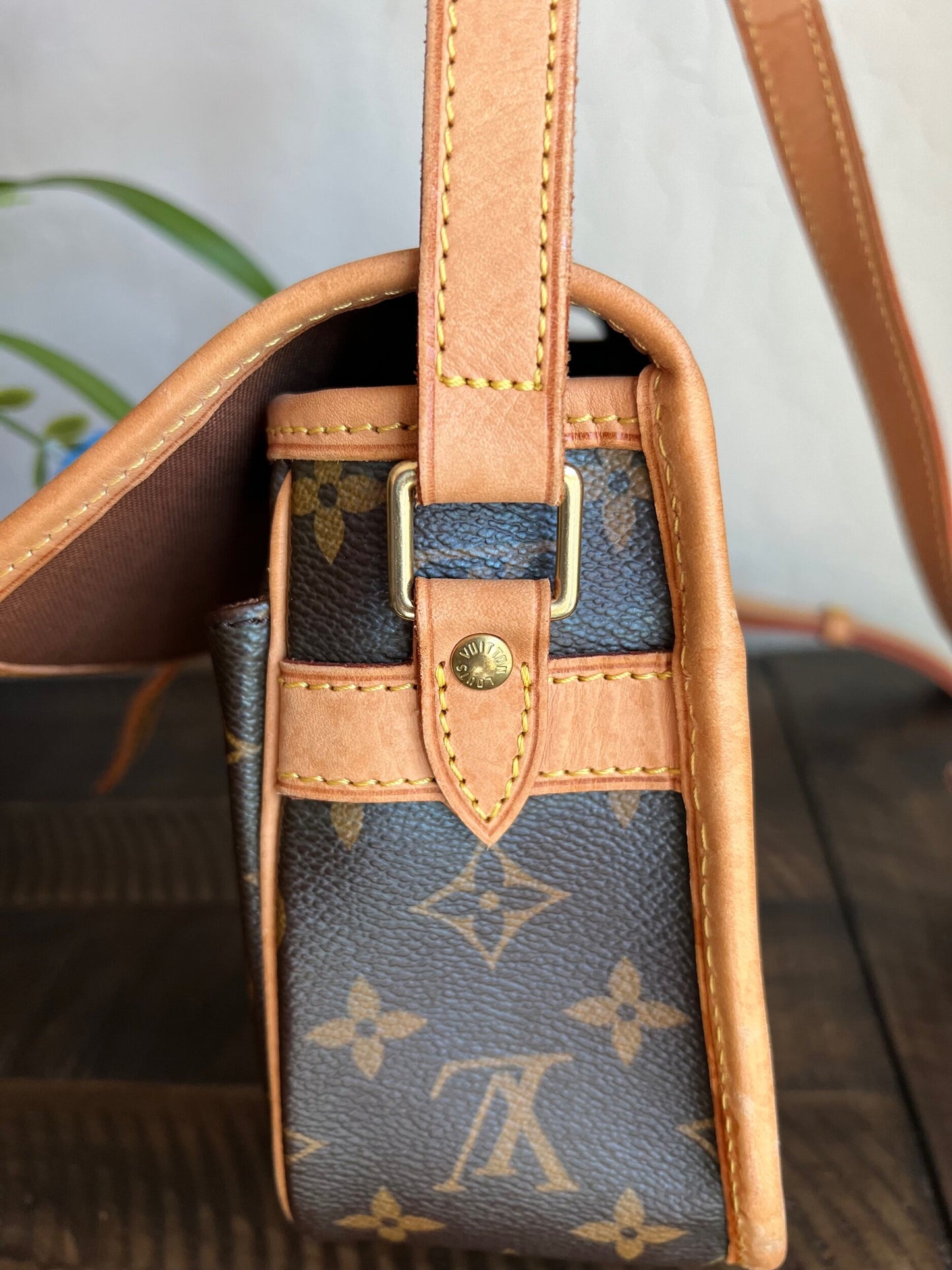 Sologne Adjustable Monogram Canvas Crossbody Bag