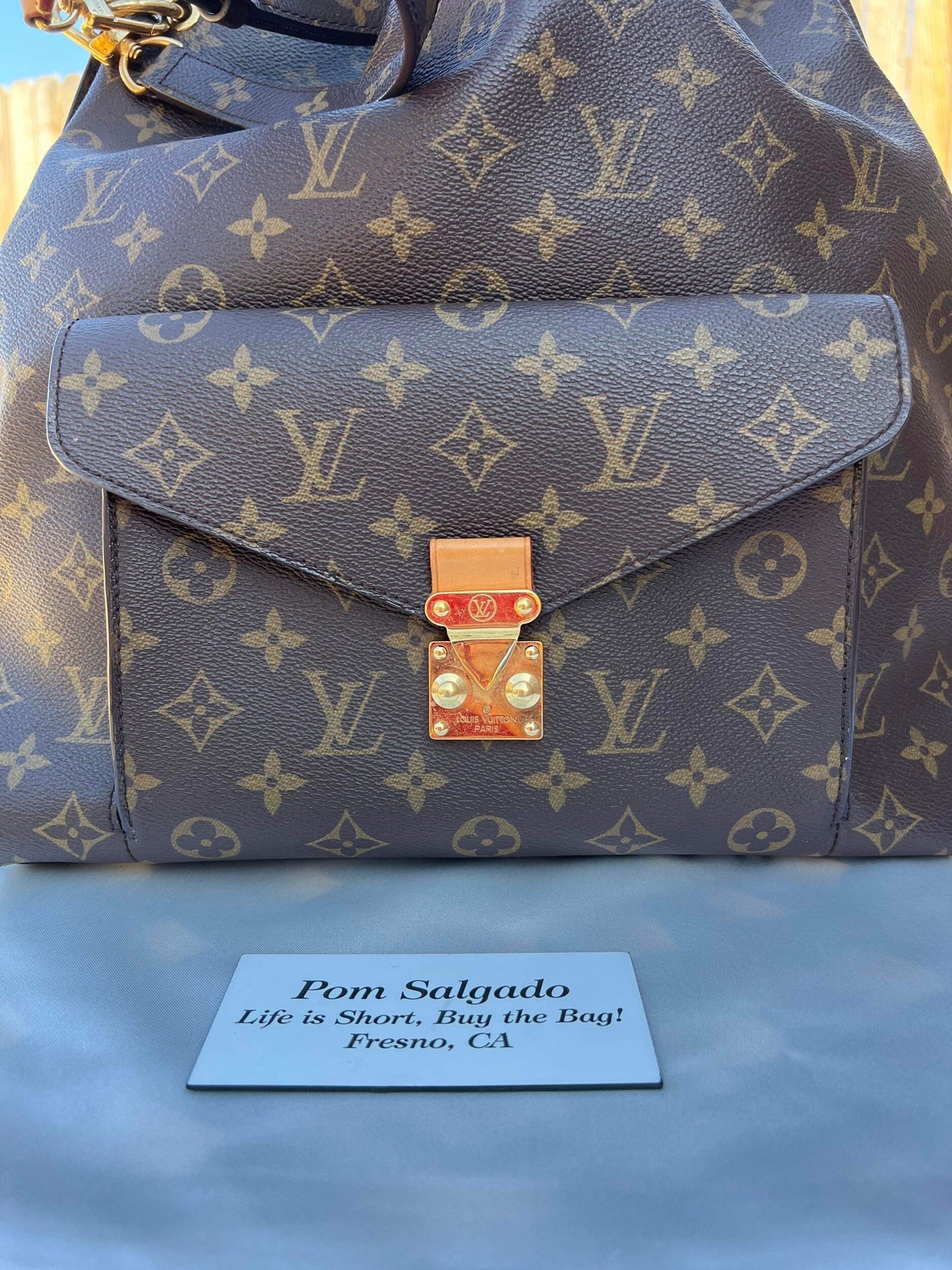 Metis Hobo Monogram Bag