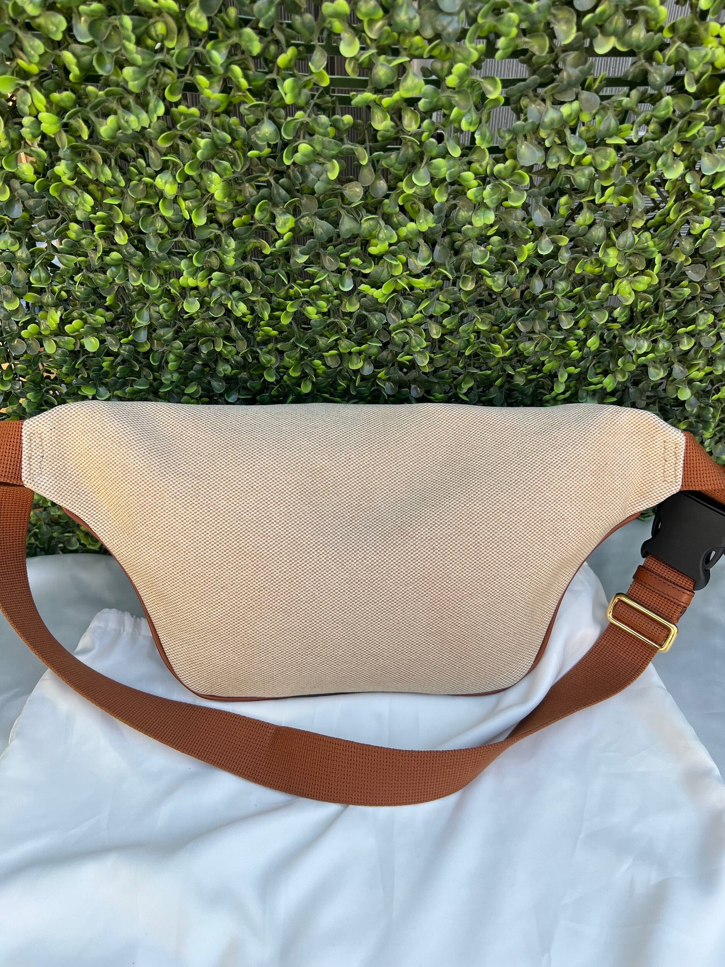 Web Beige Canvas Belt Bag