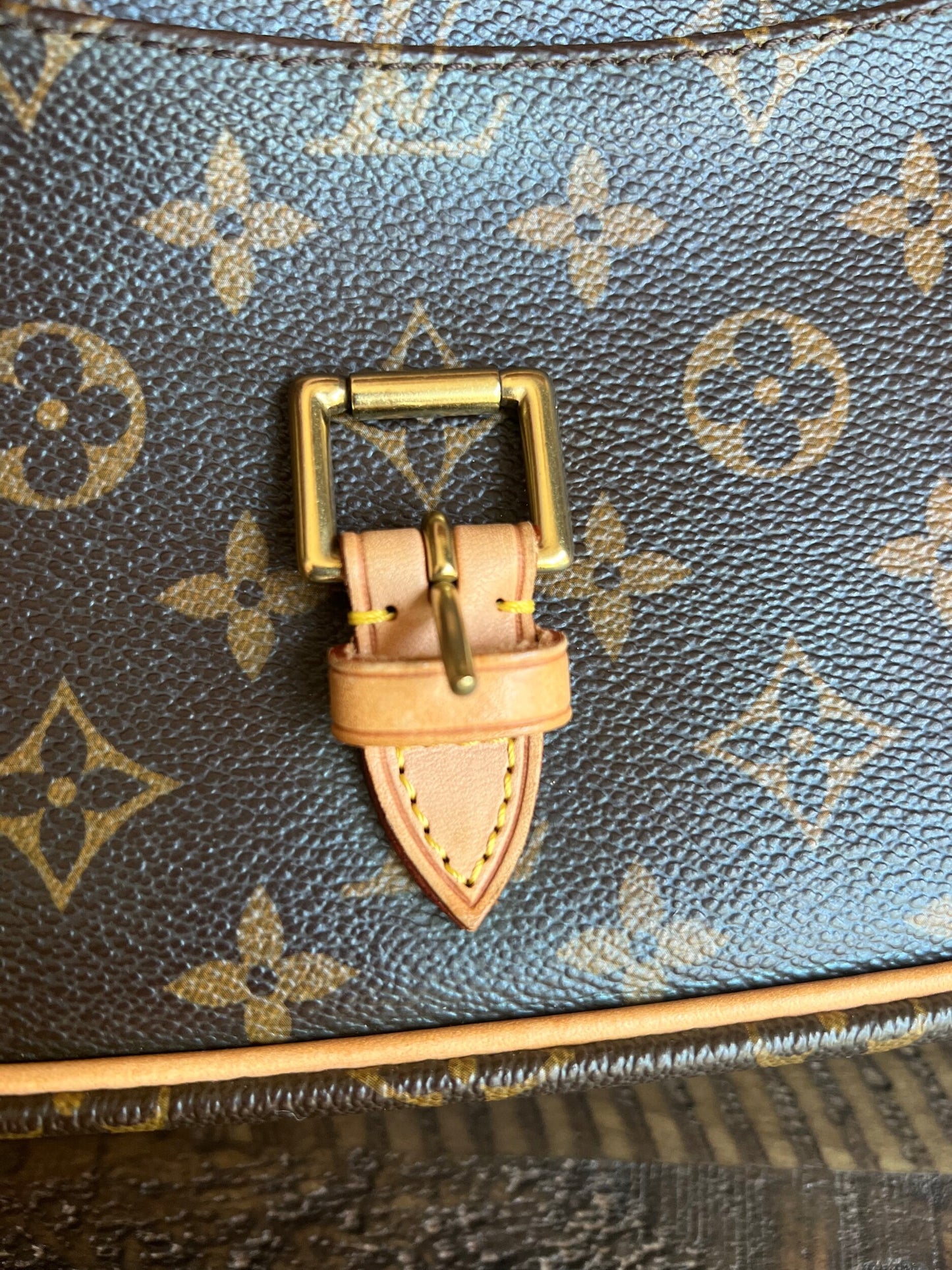 Sologne Adjustable Monogram Canvas Crossbody Bag