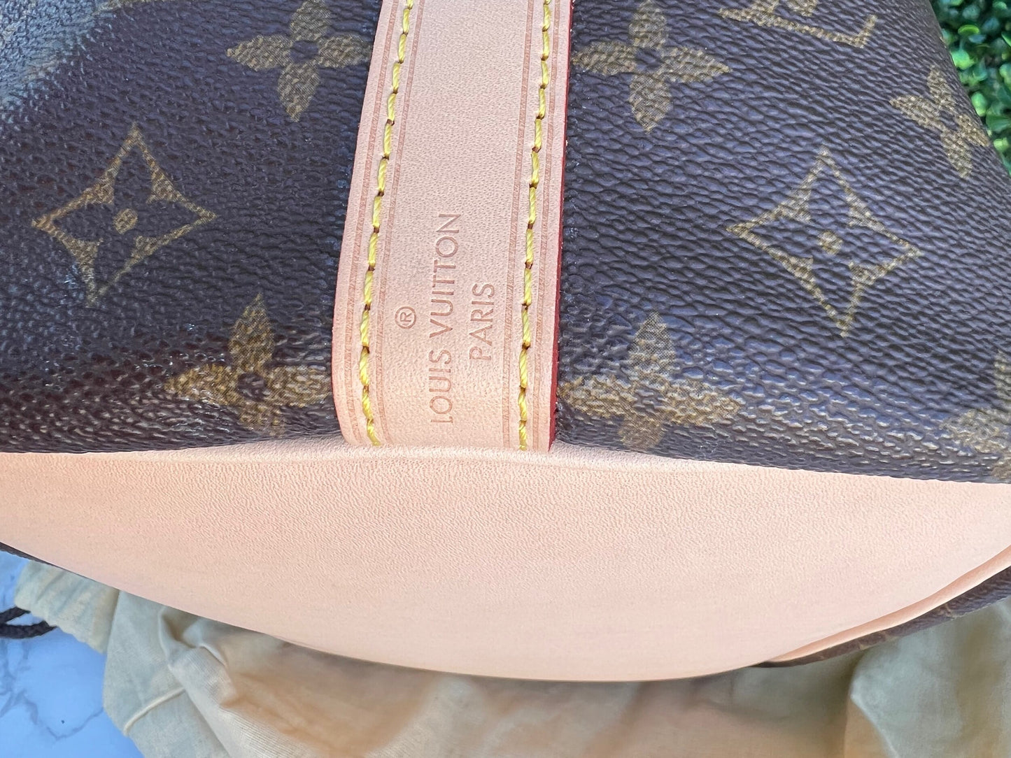 Vintage Petite Noe Monogram
